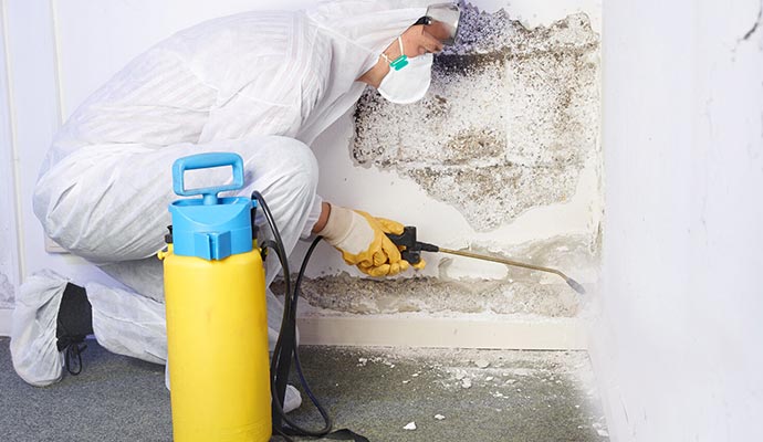mold prevention with equipment