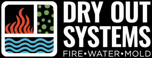 dry out systems logo